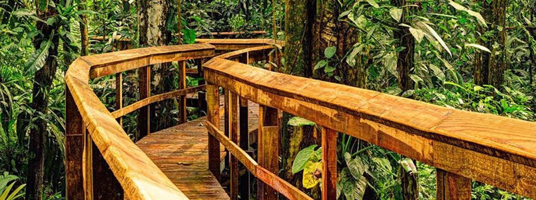 Zu Besuch bei: Cinco Ceibas Costa Rica