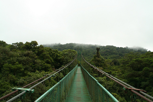 Monteverde - Foto: Fran Devinney