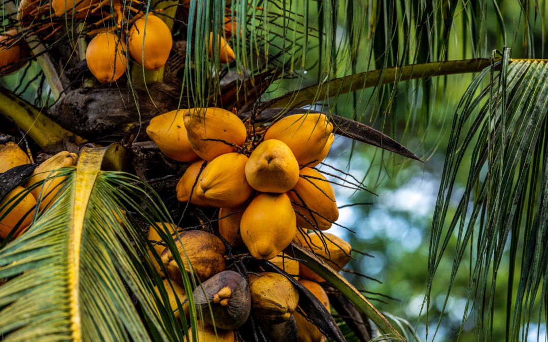 Costa Rica off the beaten track