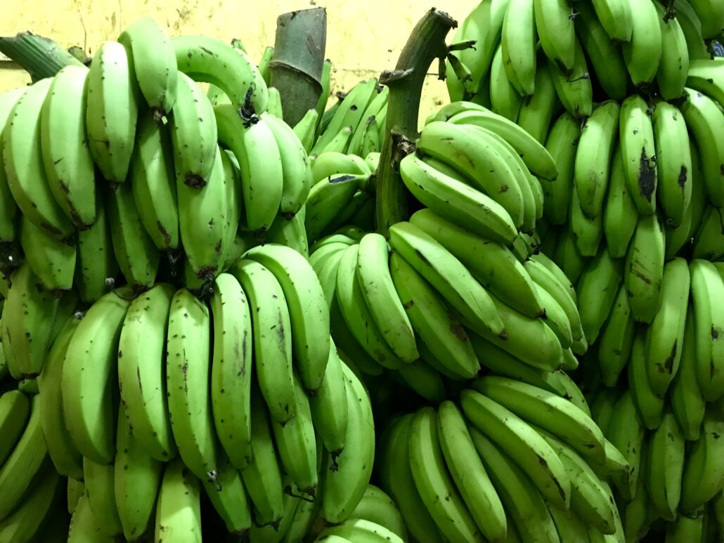 Unreife Bananen im Zentralmark in San José, Costa Rica