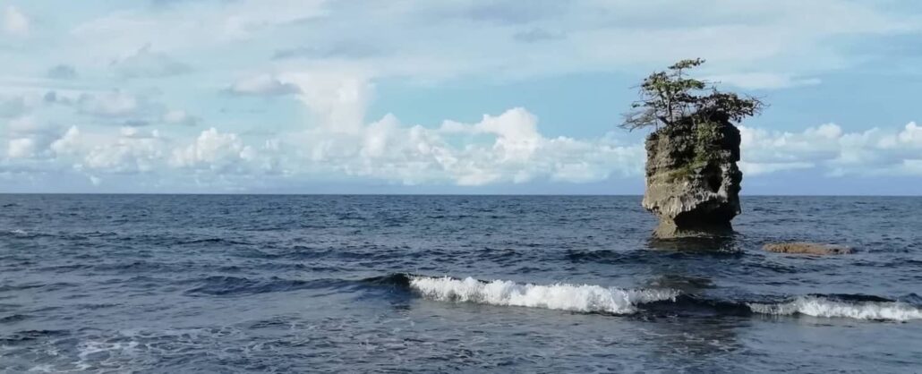 Fels an der Küste von Manzanillo